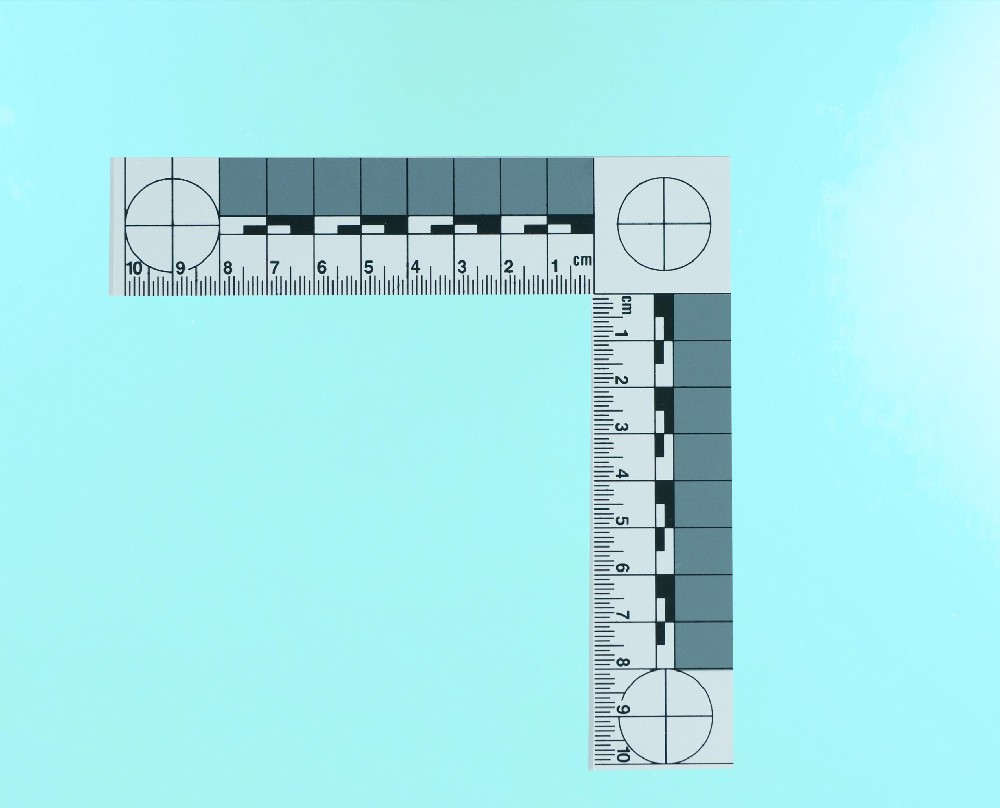 6775391.jpg