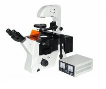 BK300荧光显微镜
