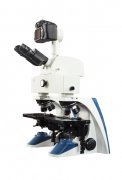 WSB-1数目生物比较显微镜